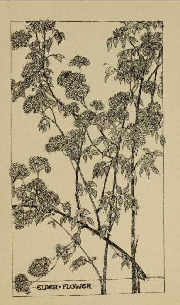 Collections of Drawings antique (10722).jpg